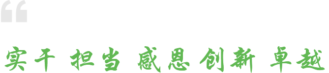 卓越 創(chuàng  )新 感恩 擔當 實(shí)干 